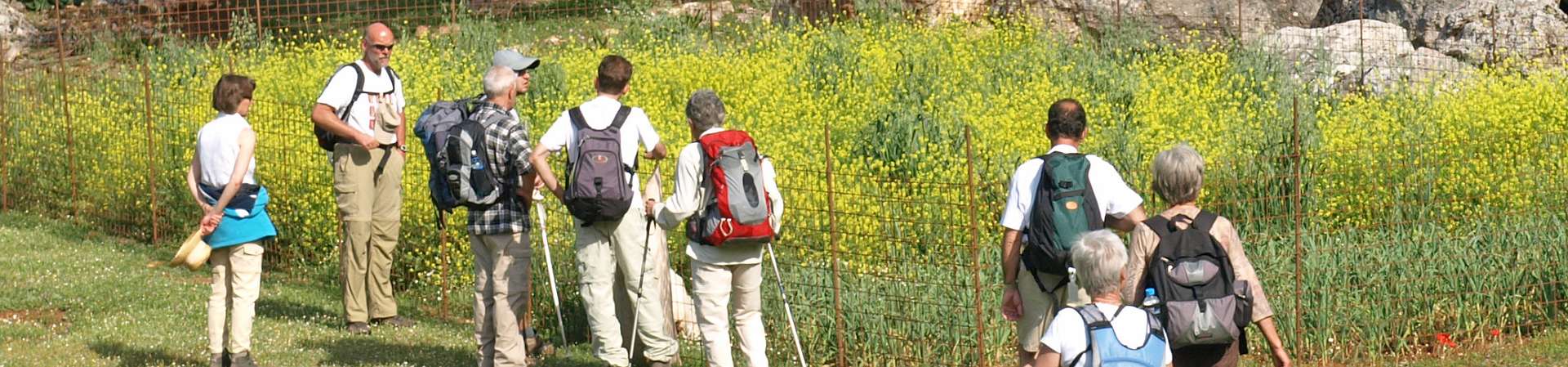 Klik om de knoppen te tonen of te verbergen