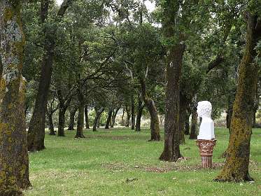 Het bos voor het klooster van Thematon