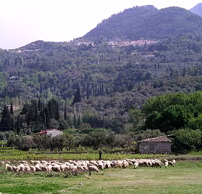 Vourliotes in de verte