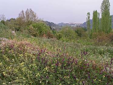 In de verte de haven van Konstandinos