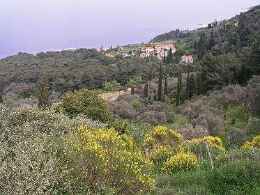 Ano Ayios Konstantinos