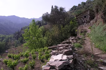 W 3 door de Nachtegalen vallei