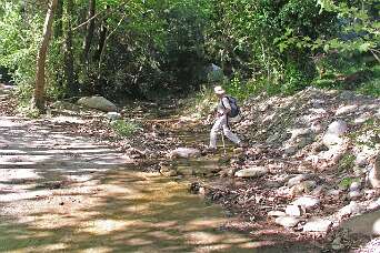 W 5 door de Nachtegalen vallei