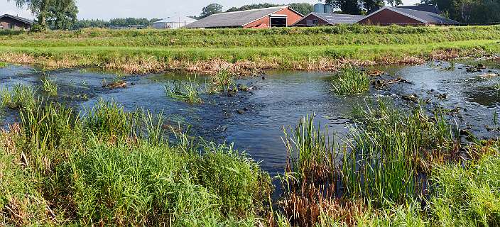 [Schipbeek](https://nl.wikipedia.org/wiki/Schipbeek ^)