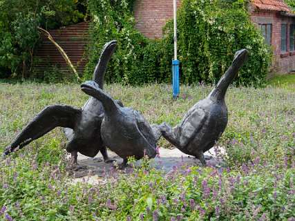 het Ganzendorp Gelselaar