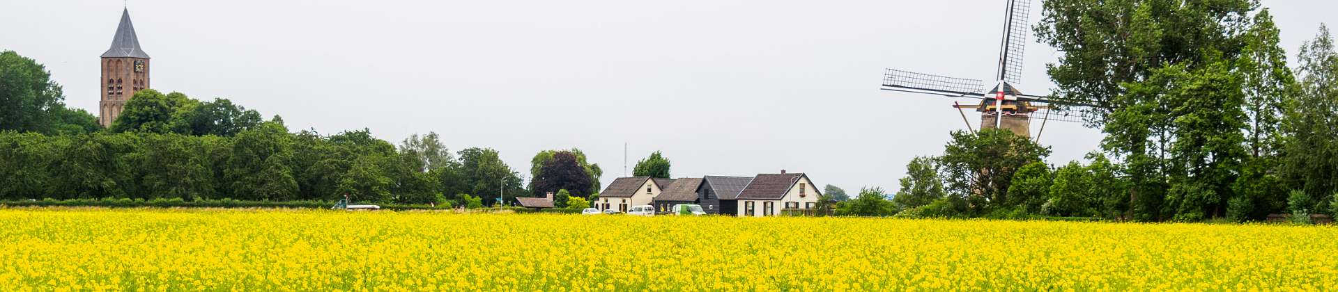 Klik om de knoppen te tonen of te verbergen
