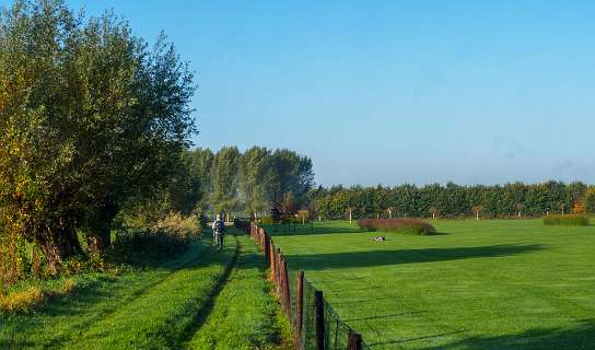 Tuylermarkerpad, klompenpad