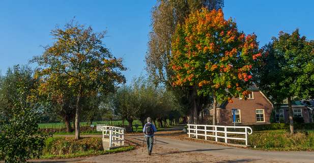 Tuylermarkerpad, klompenpad