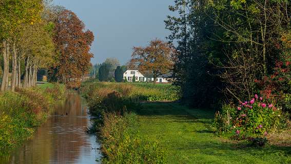 Tuylermarkerpad, klompenpad
