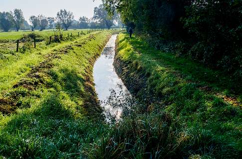 Tuylermarkerpad, klompenpad