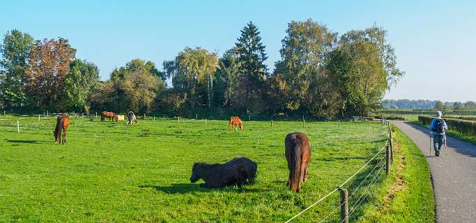 Tuylermarkerpad, klompenpad