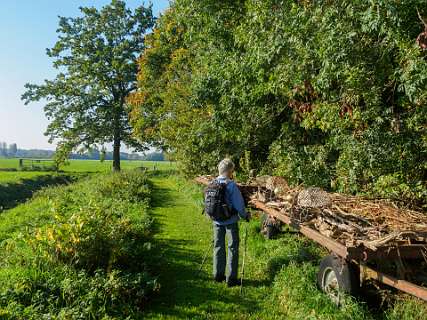 Tuylermarkerpad, klompenpad