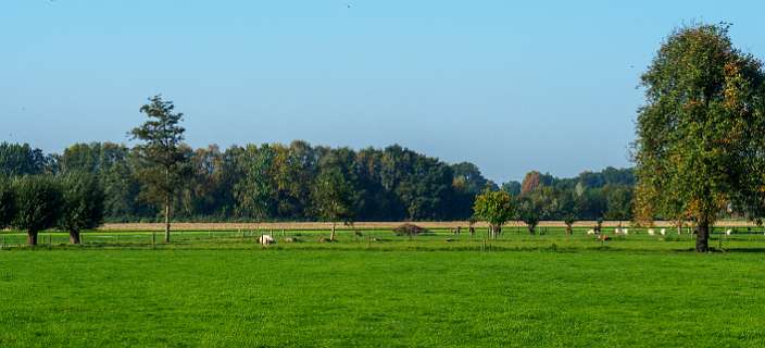 Tuylermarkerpad, klompenpad