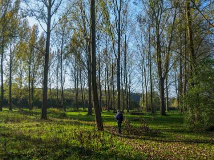 Tuylermarkerpad, klompenpad