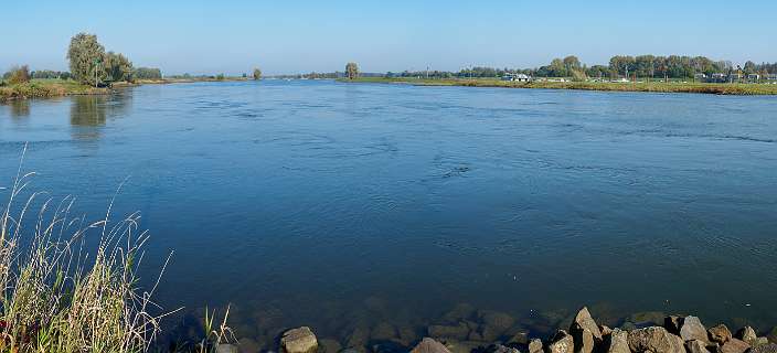 Tuylermarkerpad, klompenpad