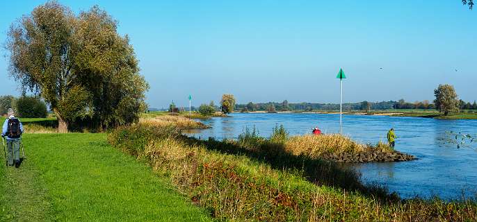 Tuylermarkerpad, klompenpad