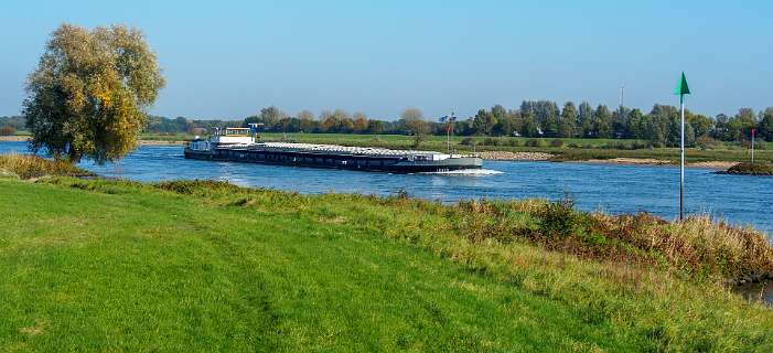 Tuylermarkerpad, klompenpad