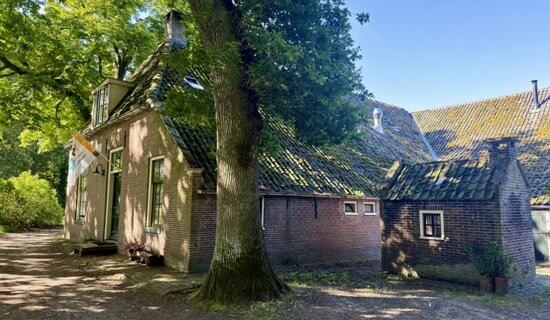 3: IMG_0722