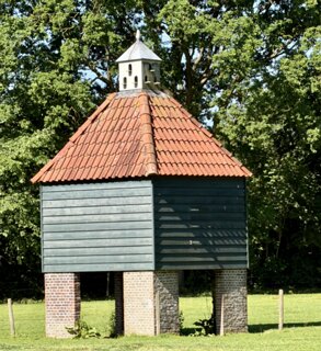 5: IMG_0727