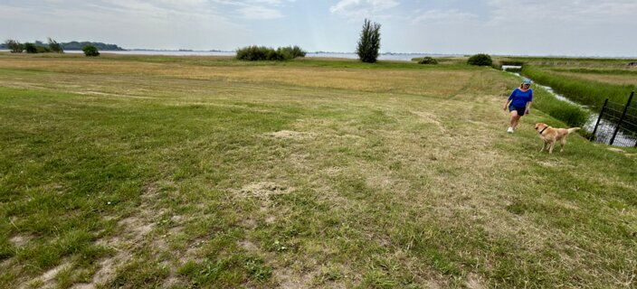 3: IMG_0784