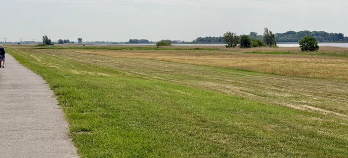 4: IMG_0785