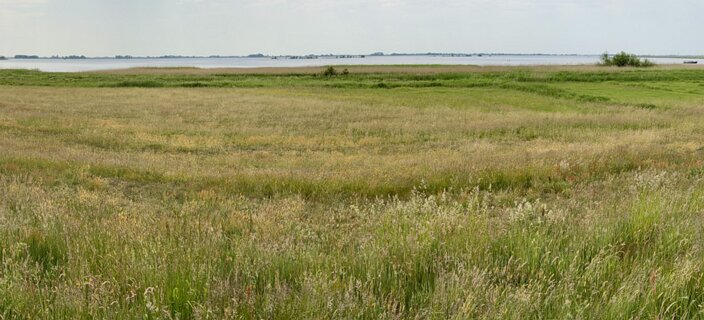 5: IMG_0788<br>Het Zwarte Meer