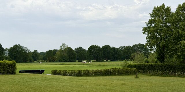 6: IMG_0790