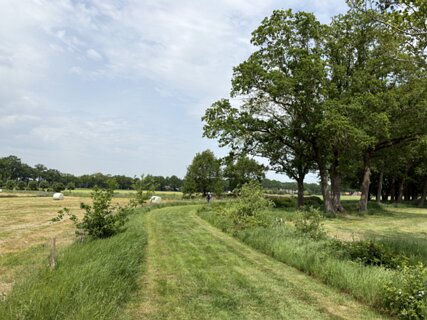 8: IMG_0792