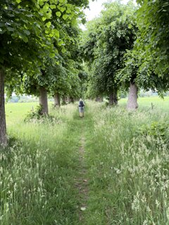 11: IMG_0797
