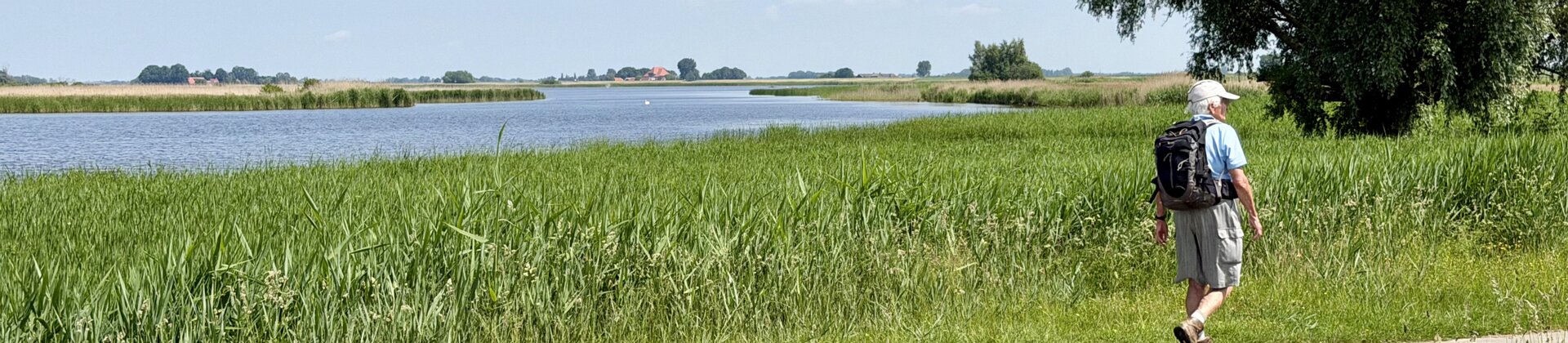 Klik om de knoppen te tonen of te verbergen
