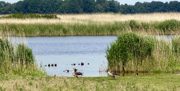 6: IMG_0848