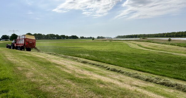 5: IMG_0685