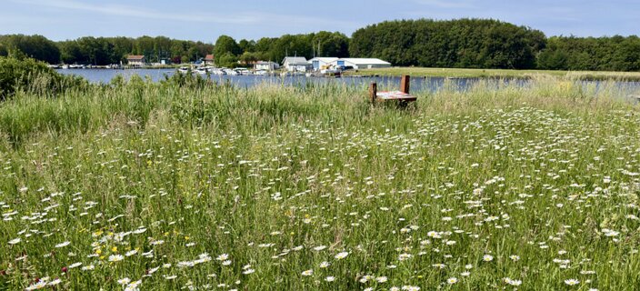 9: IMG_0695<br>Uitzicht vanaf het Vollenhoofse klif