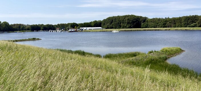 11: IMG_0700