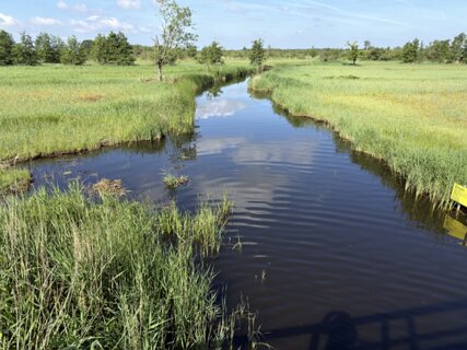 3: IMG_0805