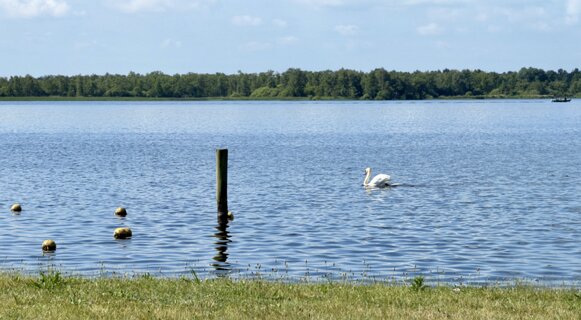 8: IMG_0811