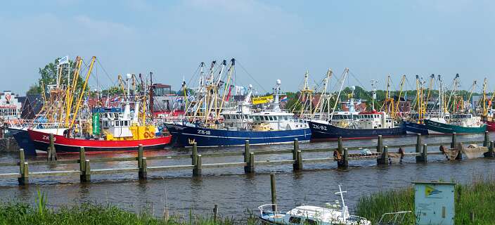 De vloot van Zoutkamp