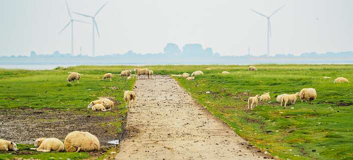 Helaas is de Punt van Reide niet toegankelijk