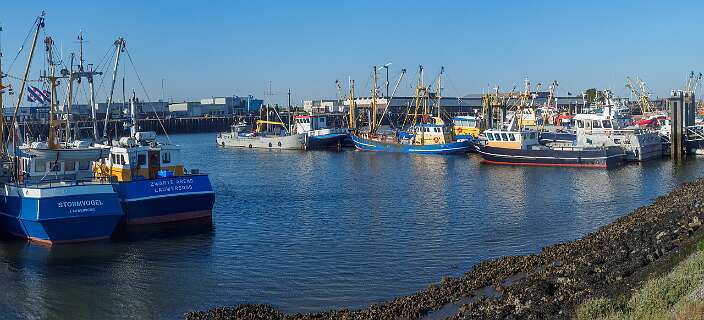 Haven van Lauwersoog