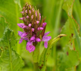 Wandeling bij<br> Lauwersoog 2018