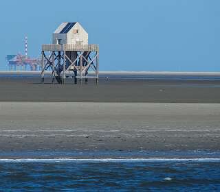 Excursie naar<br> Engelsmanplaat