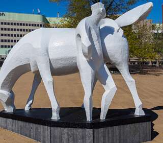 Stadswandeling<br> Groningen