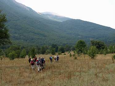 Hoog gelegen weiland