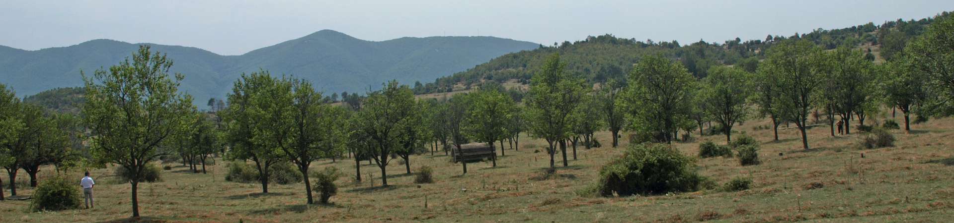 Klik om de knoppen te tonen of te verbergen