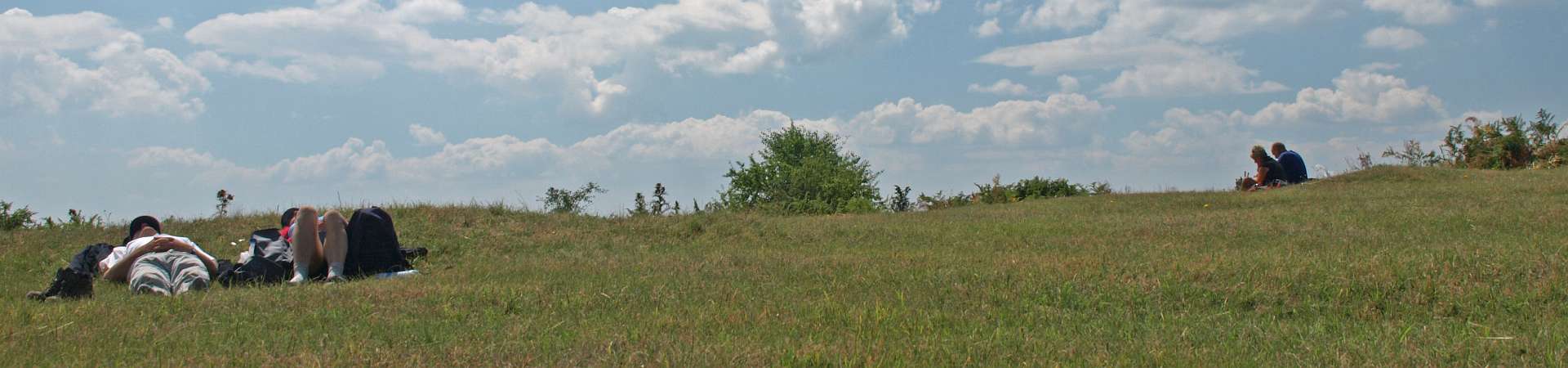 Klik om de knoppen te tonen of te verbergen