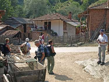 Paddestoelen drogen in Dvoriste