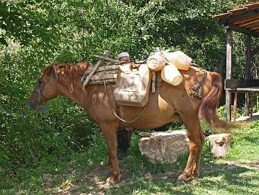 Boer komt water halen