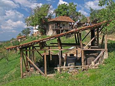 Stokerij van pruimenjenever