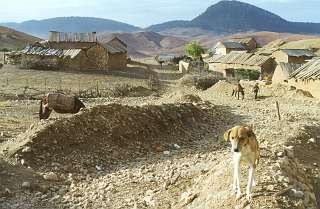 De omgeving van ons onderkomen