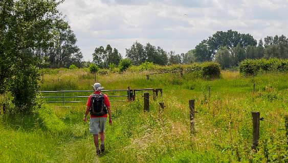 We lopen nu op een klompenpad